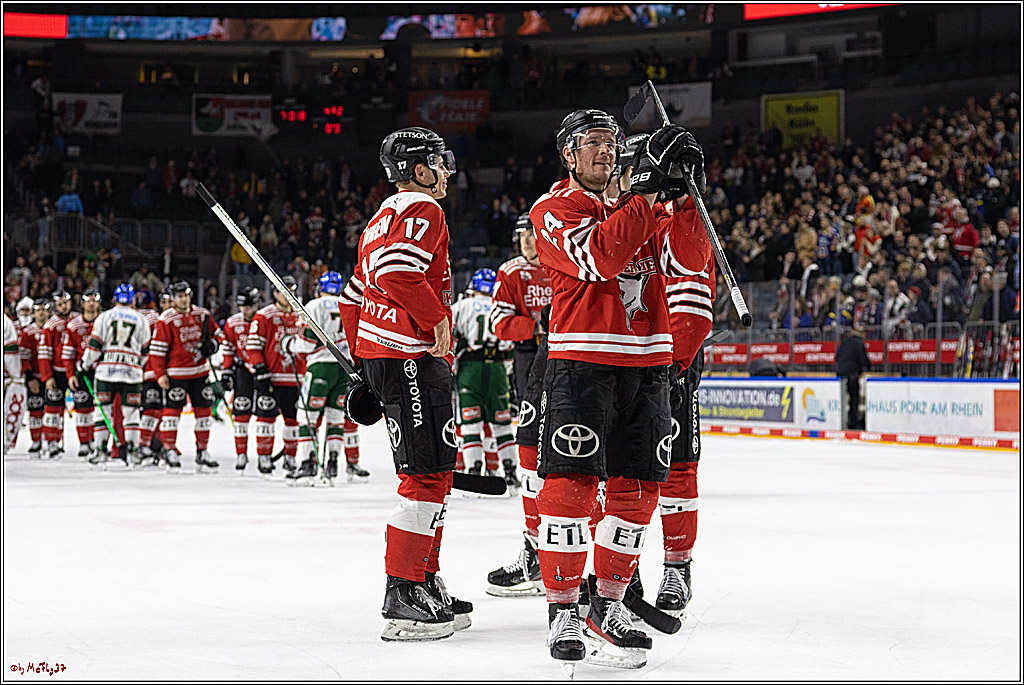 PENNY DEL;  Kölner Haie - Augsburger Panther; Köln, 20.12.2022